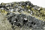 Magnetite, Diopside, Garnet, and Chlinochlore - Afghanistan #215175-1